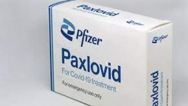 Anvisa recebe pedido de uso emergencial de remédio da Pfizer contra Covid-19